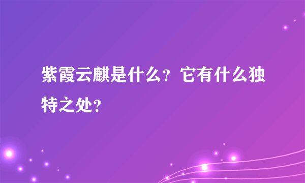 紫霞云麒是什么？它有什么独特之处？