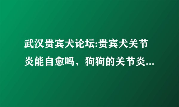 武汉贵宾犬论坛:贵宾犬关节炎能自愈吗，狗狗的关节炎可以自己好吗？