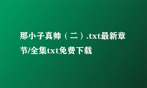 那小子真帅（二）.txt最新章节/全集txt免费下载