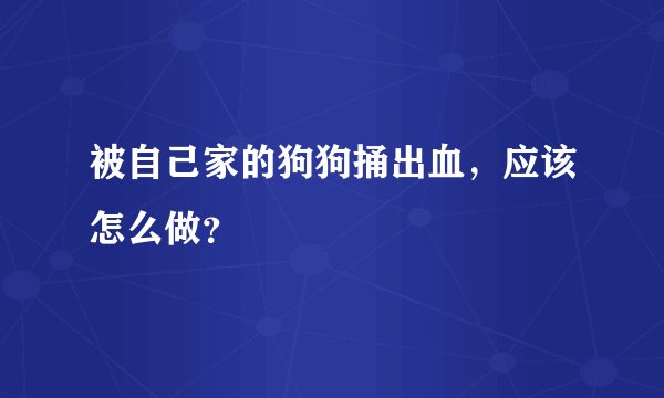被自己家的狗狗捅出血，应该怎么做？