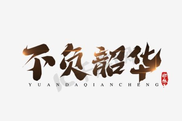 不负年华不负卿出自哪儿？