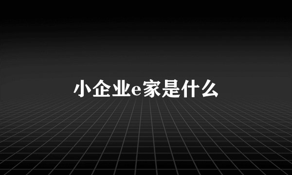 小企业e家是什么