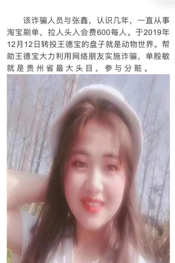 DW动物世界app崩盘