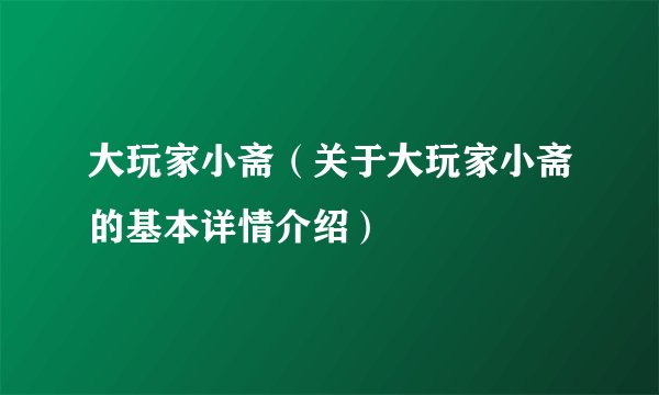 大玩家小斋（关于大玩家小斋的基本详情介绍）