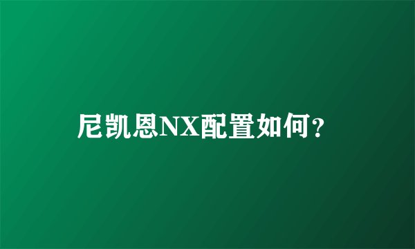 尼凯恩NX配置如何？