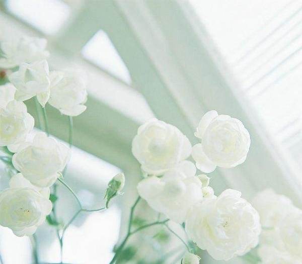 爱情向左，婚姻向右