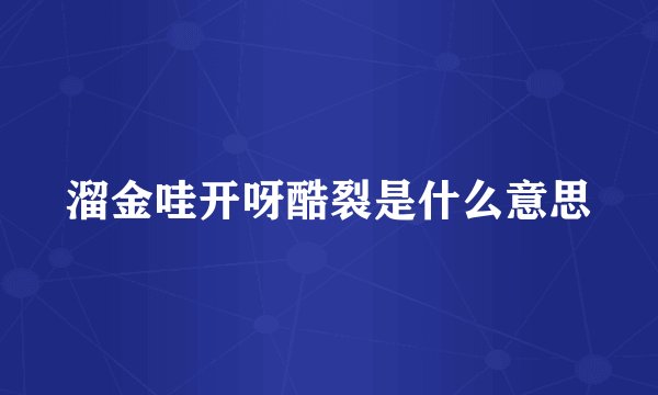 溜金哇开呀酷裂是什么意思