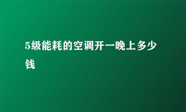 5级能耗的空调开一晚上多少钱