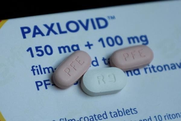 paxlovid的中文名是什么