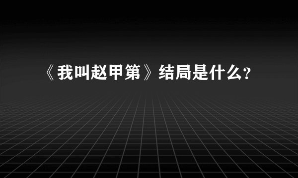 《我叫赵甲第》结局是什么？
