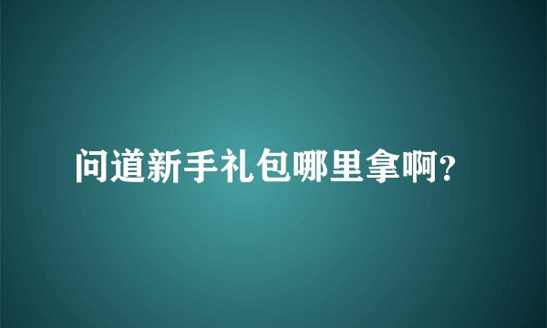 问道新手礼包哪里拿啊？