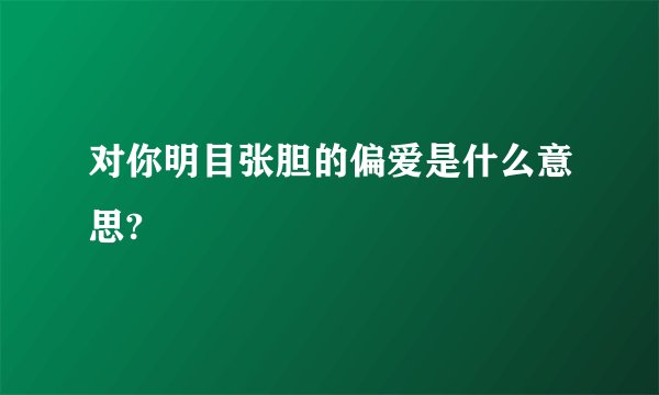 对你明目张胆的偏爱是什么意思?