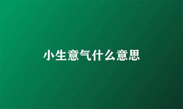 小生意气什么意思