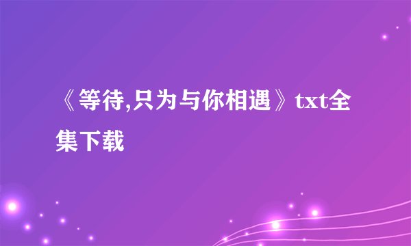 《等待,只为与你相遇》txt全集下载