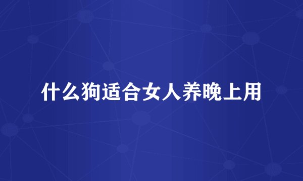什么狗适合女人养晚上用