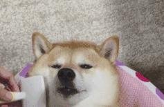 世界杯16强开始！阿根廷往绩优势 澳大利亚防守出色