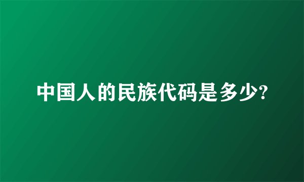 中国人的民族代码是多少?