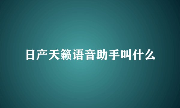 日产天籁语音助手叫什么