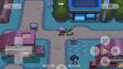 口袋妖怪魂银金手指代码有哪些