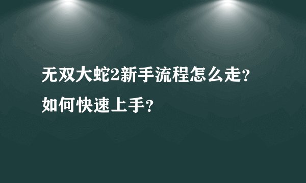 无双大蛇2新手流程怎么走？如何快速上手？