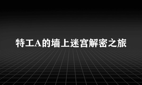 特工A的墙上迷宫解密之旅