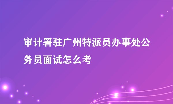 审计署驻广州特派员办事处公务员面试怎么考