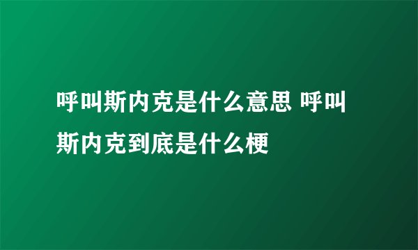 呼叫斯内克是什么意思 呼叫斯内克到底是什么梗