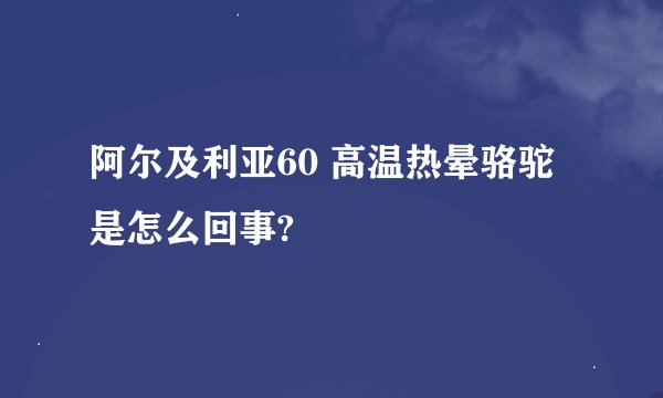阿尔及利亚60 高温热晕骆驼是怎么回事?