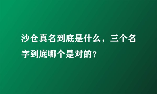 沙仓真名到底是什么，三个名字到底哪个是对的？