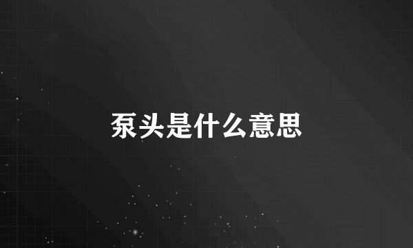 泵头是什么意思
