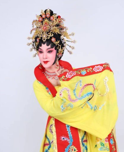 金花瓶楷梅花2杨贵妃