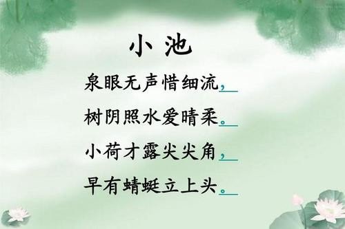 古诗《小池》里晴柔是什么意思