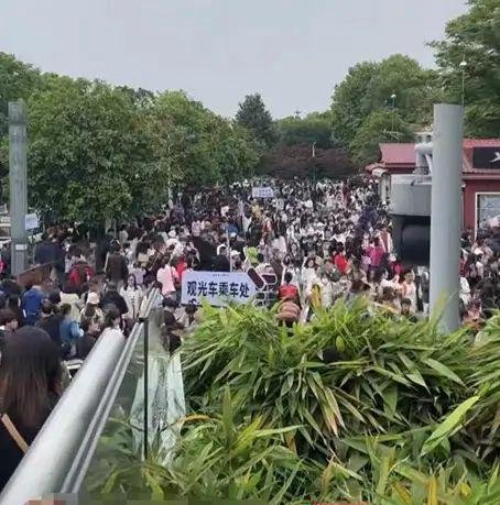 出火车站直奔五一广场，长沙到底来了多少人？第一批游客把长沙堵紫了！