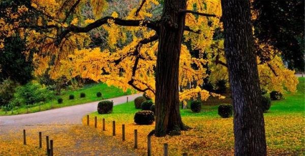 上海企业税务筹划的方法有哪些如何操作