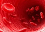 二哈被蛇咬后,脸肿似史努比,这种情况需要去注射血清吗?