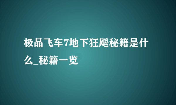 极品飞车7地下狂飚秘籍是什么_秘籍一览