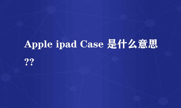 Apple ipad Case 是什么意思??