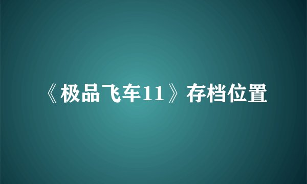《极品飞车11》存档位置