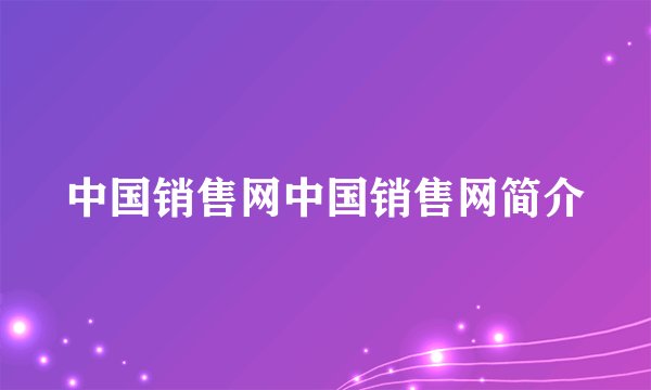中国销售网中国销售网简介