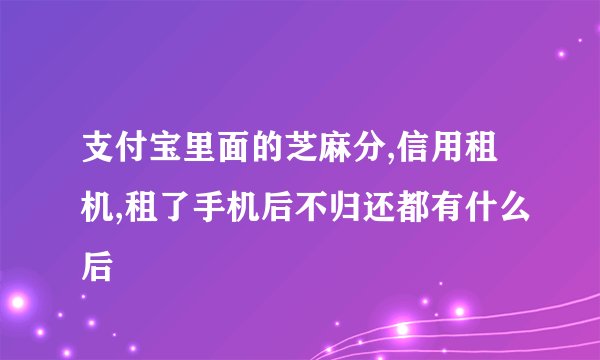 支付宝里面的芝麻分,信用租机,租了手机后不归还都有什么后