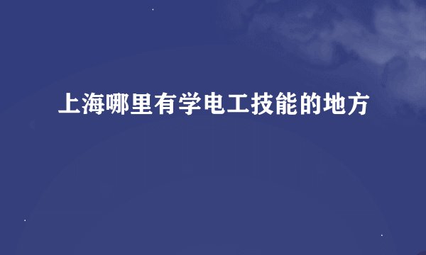 上海哪里有学电工技能的地方