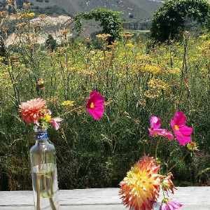 陈易佳的人生履历