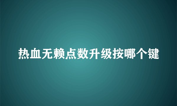 热血无赖点数升级按哪个键