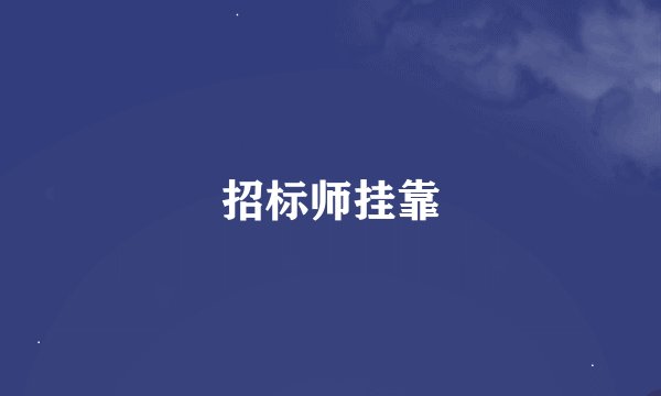 招标师挂靠
