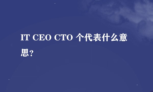 IT CEO CTO 个代表什么意思？