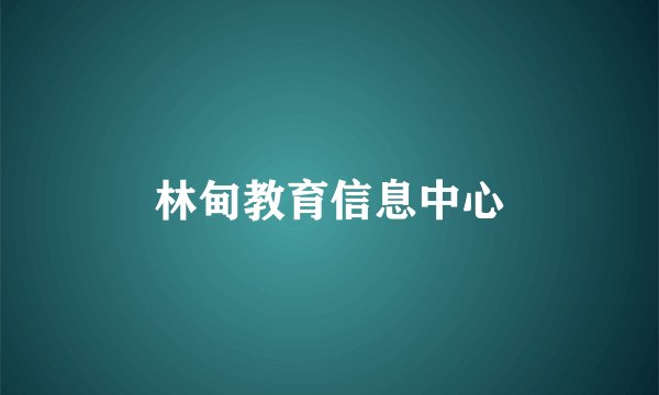 林甸教育信息中心