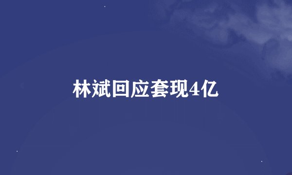 林斌回应套现4亿