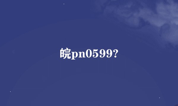 皖pn0599?