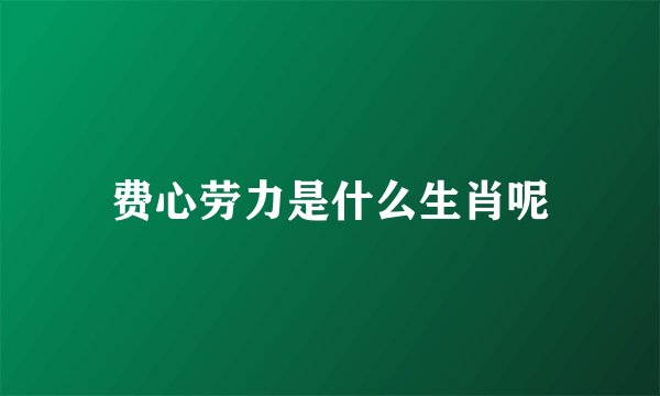 费心劳力是什么生肖呢