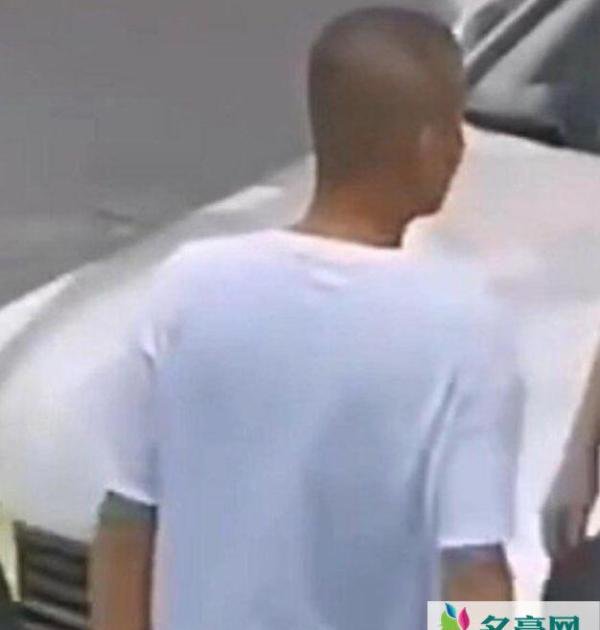 文章片场猛摔手机怎么回事 文章为什么会突然发飙